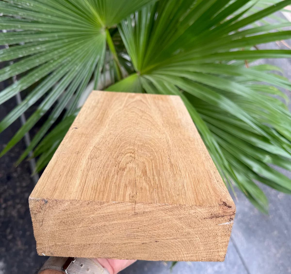 Wood grain craftsmanship at Ahuja Furniture